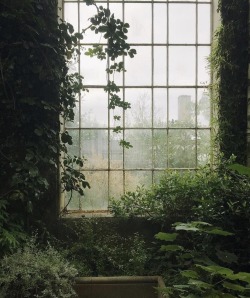 myfairylily: Botanical Garden, Edinburgh