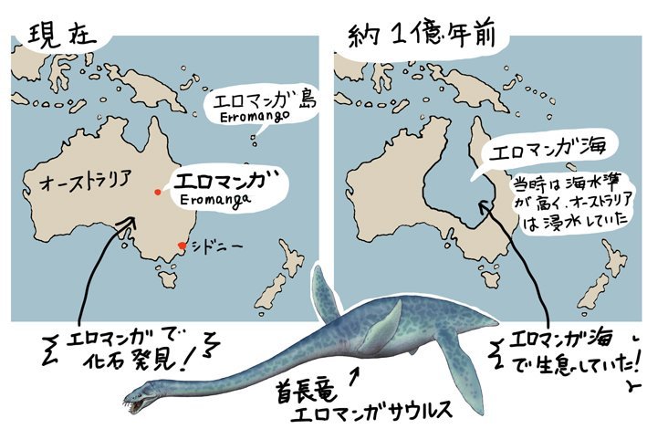 urokuzu-chan:  川崎悟司さんのツイート: “南太平洋のエロマンガ島は有名だけど、オーストラリアにもエロマンガという地名があって、首長竜の化石が発見され、エロマンガサウルスと名付けられ、なんでこんな内陸に海生生物の化石があるかって、１億年前は海水準が高く、オーストラリアは大部分が浸水し、エロマンガ海という内海があったらしい。