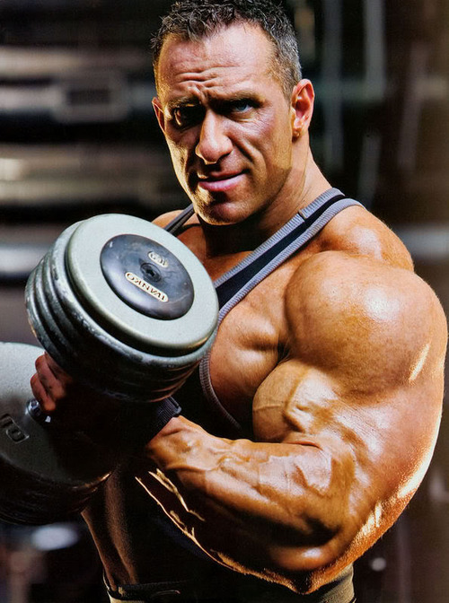 muscle-nerd:  Armin Scholz