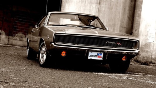 bigboppa01:  TUFF!!!