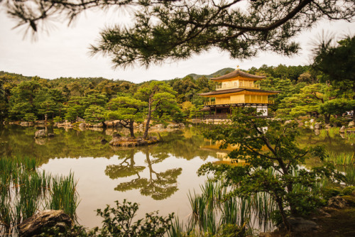 Thursday 5th October 2017. 11:30 Kyoto Japan.Kinkakuji Temple located on the west side of Kyoto. It&