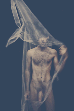 Dreams Catcher