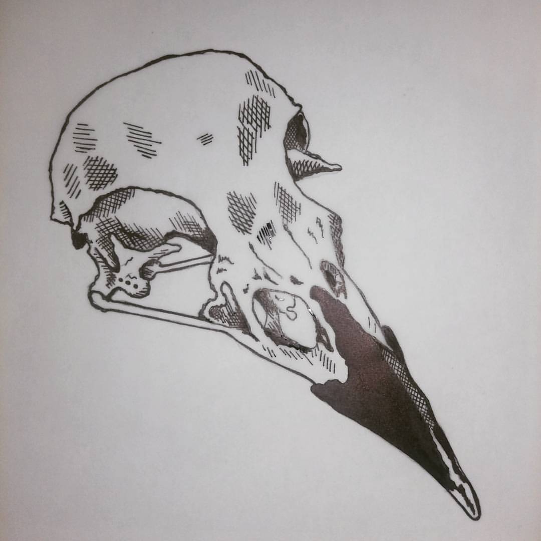 nature inspired printmaker | #skull #crow #dead #animal #nature  #naturelovers...