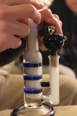 bakedly:  triple blue honeycomb bong