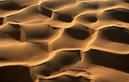 XXX Sea of sand (a camel caravan crosses the photo