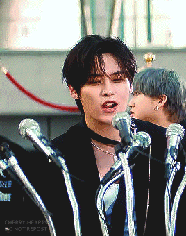 "STRAY KIDS" M/V Past References