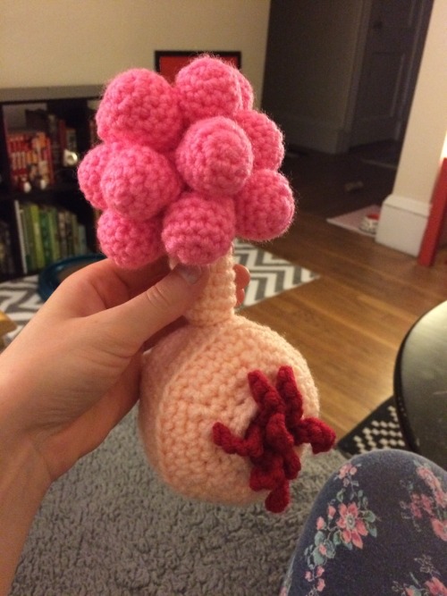 Please enjoy these crappy photos of the crocheted plumbus I just finished