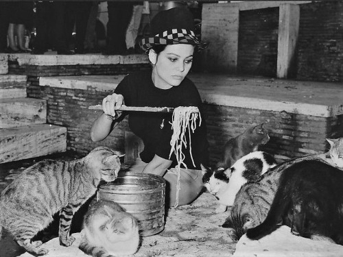 modbeatnik:Claudia Cardinale feeding Spaghetti to stray cats at the Pantheon, 1963