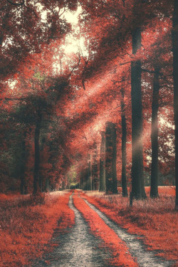 lsleofskye:  Dreamscape path | ingmvr_