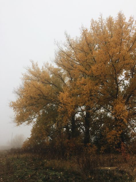 Blessed Mabon Witches