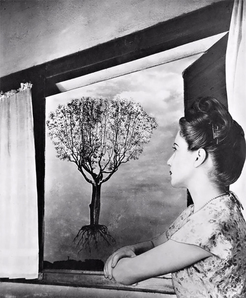 Grete Stern