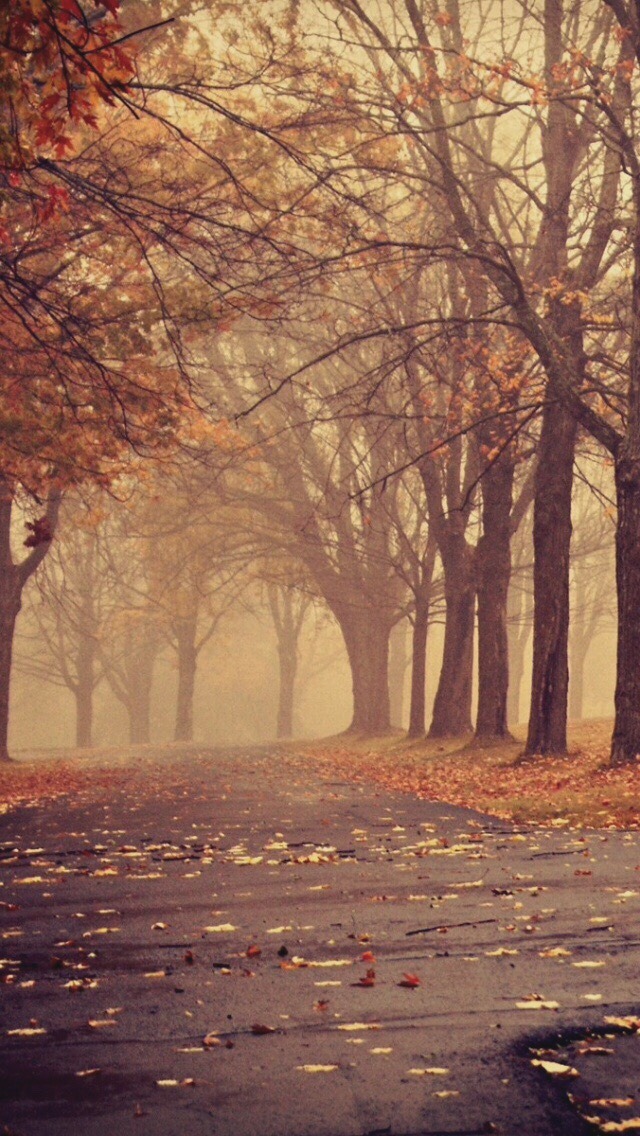 phone-wallpapers-heaven:  Falling for the Autumn /Lockscreens/  
