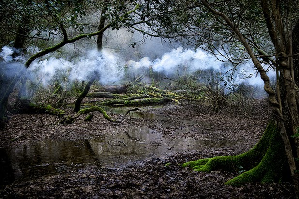 asylum-art:  Ellie Davies lives in London and works in the woods and forests  of