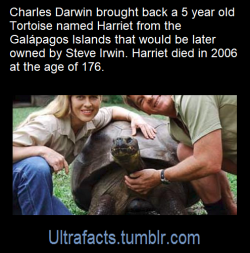 ultrafacts:  Source: [x]Click HERE for more facts!