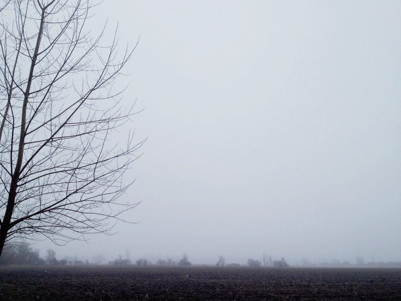 floreic:  ☹⋆foggy bloggy⋆☹