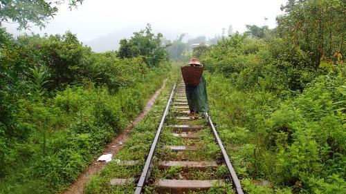 coleopterist: Myanmar #3 Photos taken by Connor Butler - Somewhere inbetween Kalaw and Inle Lake, M