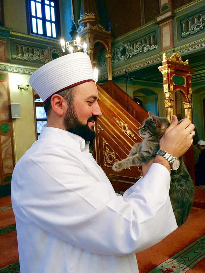 hokeydokeyspokey:  boredpanda:    Imam Opens Mosque’s Doors To Stray Cats To Keep