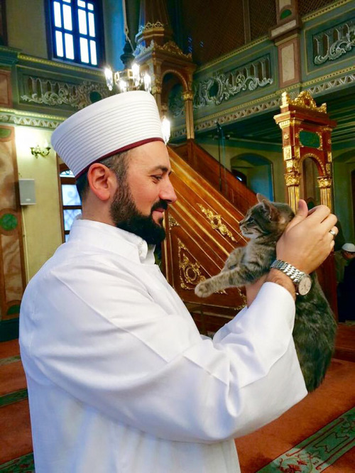 hokeydokeyspokey:  boredpanda:    Imam Opens Mosque’s Doors To Stray Cats To Keep Them Warm    So sweet 