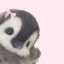 lovelyclutterlamb