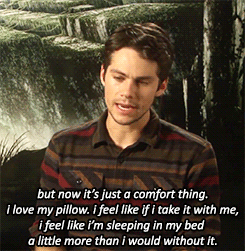 dynobrien:  i have to ask you about your last tweet..about your pillow? 