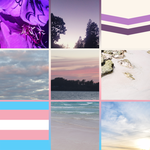 Trans queer nature moodboard! For anyone who identifies as trans and queer. All images used are my o