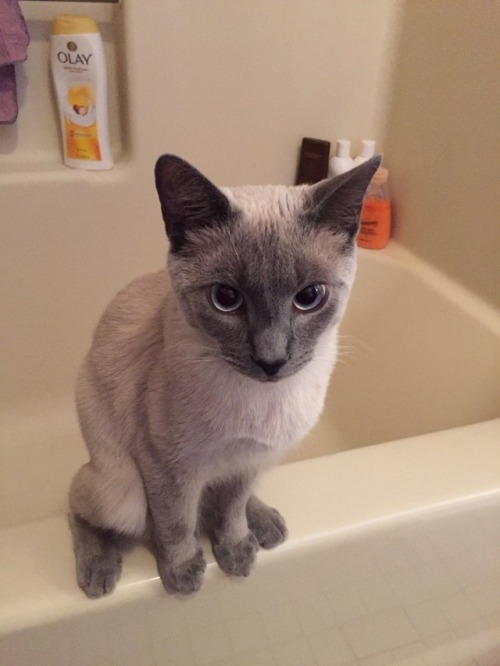 likesomethingblooming:Pls look at this baby boy whose feet are too long to balance on the tub @mostl