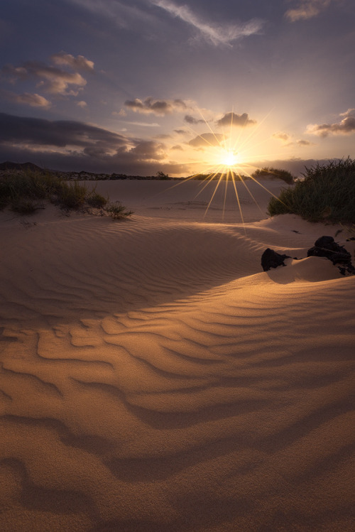 sundxwn:  The Ballet Of Shadowsby Alexandre Ehrhard