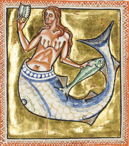 mermaid&lsquo;The Ashmole Bestiary&rsquo;, England 1201-1225Bodleian Library, MS. Ashmole 1511, fol.