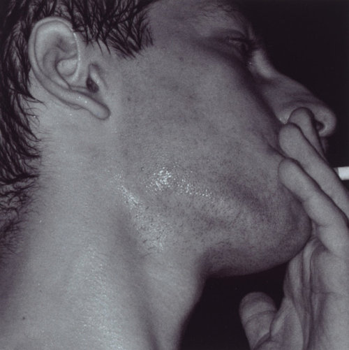 serpientes: wolfgang tillmans