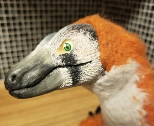 asleepymonster: Velociraptor doll made from sculpy and crocheted parts. It’s coloration is bas