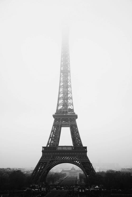 silly-luv:  ♡ find your best posts on my blog ♡