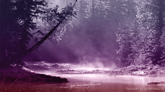 Над рекой будто сизый дым песня. Туманный лес. Природа гиф. Фиолетовый лес. Дождливый лес.