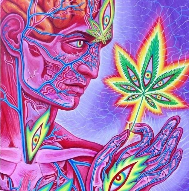 Alex Grey