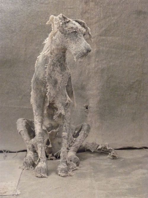 These amazingly expressive dog sculptures were created by UK-based artist Helen Thompson. Each piece