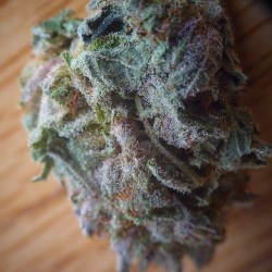 shesmokesherb:  Hindu Kush is sooo pretty 