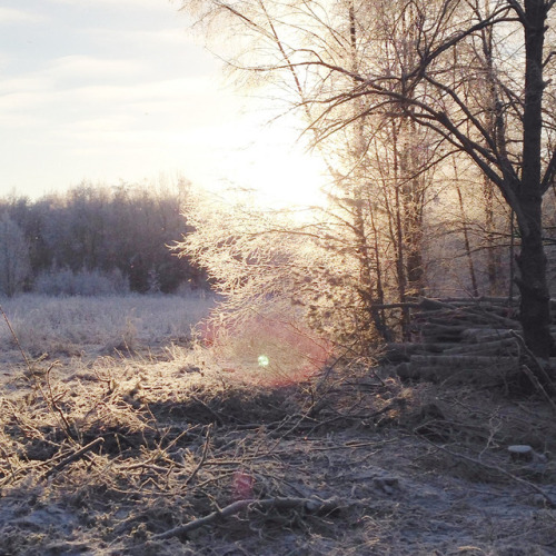 arctic-bramble:Winter in Finland. This is where I live and the weather was incredible today. 