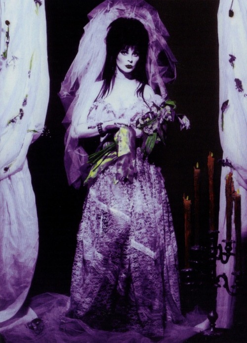 monstermelodies:Elvira Mistress of the Dark