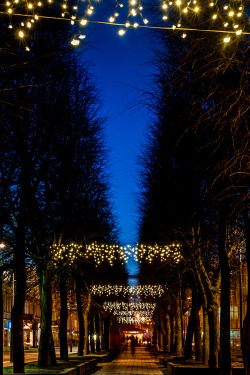 plasmatics-life:  Christmas Lights | Kaunas ~ By Andrius Aleksandravičius 