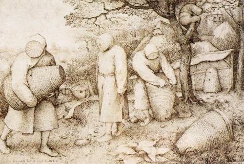 The Beekeepers and the Birdnester, 1568, Pieter Bruegel the ElderMedium: ink,paper