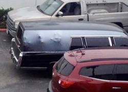 trashfirefallon:  klubbhead: picsthatmakeyougohmm: hmmm  knowing how big a hearse is, I can tell you that this is photoshopped because a sponge is a lot smaller than that