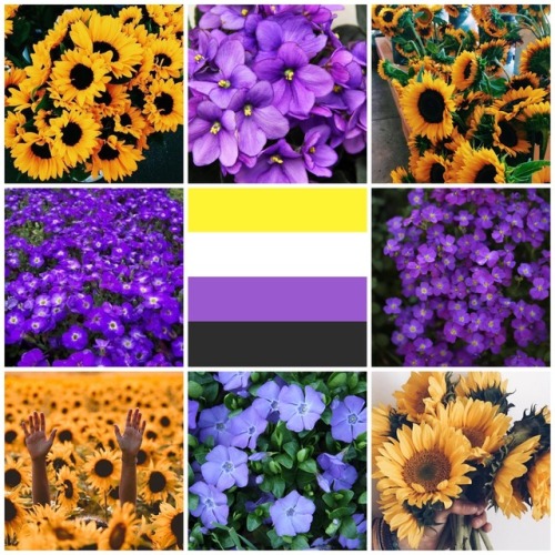 nb-positivity-images:Non binary sunflowers and violets moodboard!-mod lee