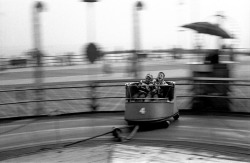 killerbeesting:  Harold Feinstein, The Whip, Coney Island, 1950 