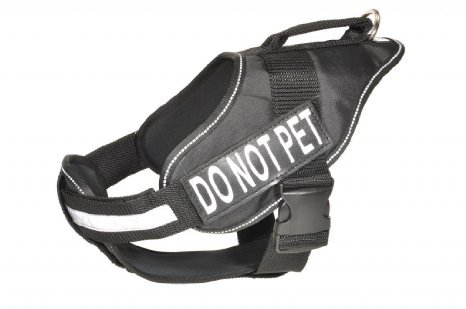 Proper Wolfdog Care
