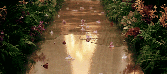 laurdlannister-kingslayer:  wolfsansastark:   ♪ Like a river flowsSurely to the