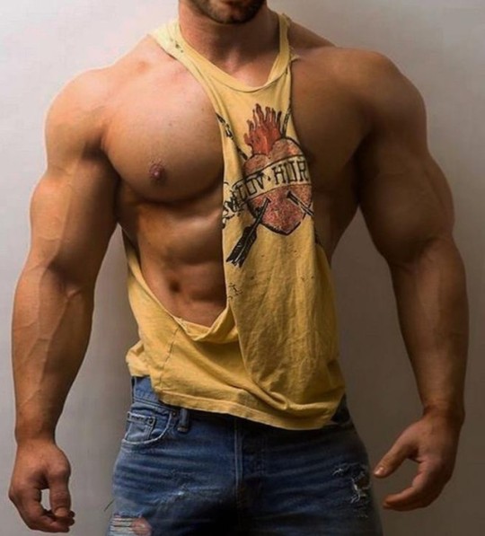 musclebull23: 