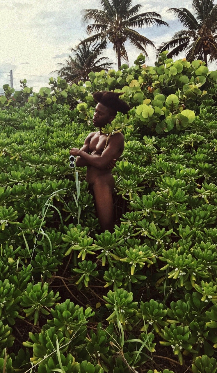 ohthentic:  rimlit:  midst   Oh
