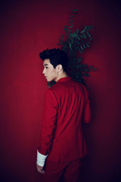 xianhua:  Henry will release his 2nd mini