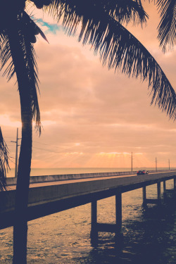 tryintoxpress:    Florida - Photographer ¦ Lifestyle - Nature - 18+   