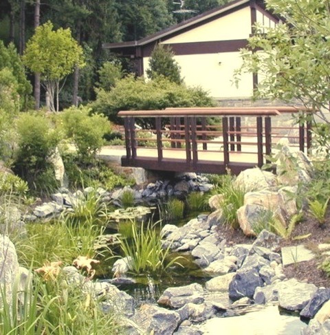 Fountain - LandscapeDesign Ideas For A Large Asian Partial Sun Water Fountain Landscape.