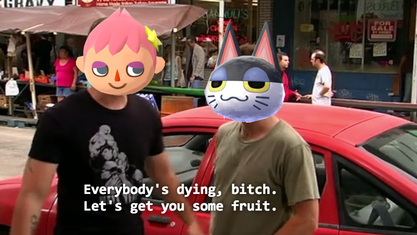 spaceanakin: Animal Crossing: Pocket Camp